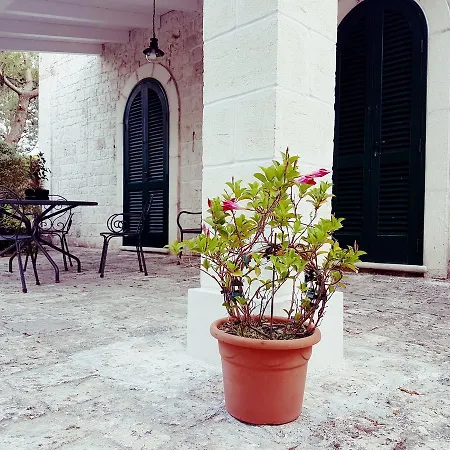 Cenzina 3* Selva Di Fasano