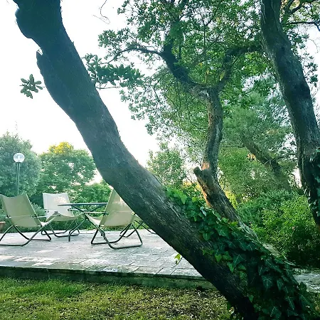 Cenzina Bed & Breakfast 3*