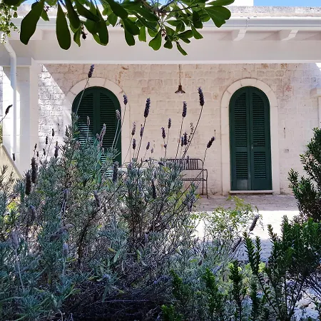 Cenzina 3* Selva Di Fasano